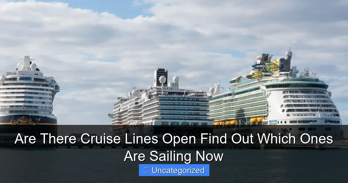 Are There Cruise Lines Open Find Out Which Ones Are Sailing Now