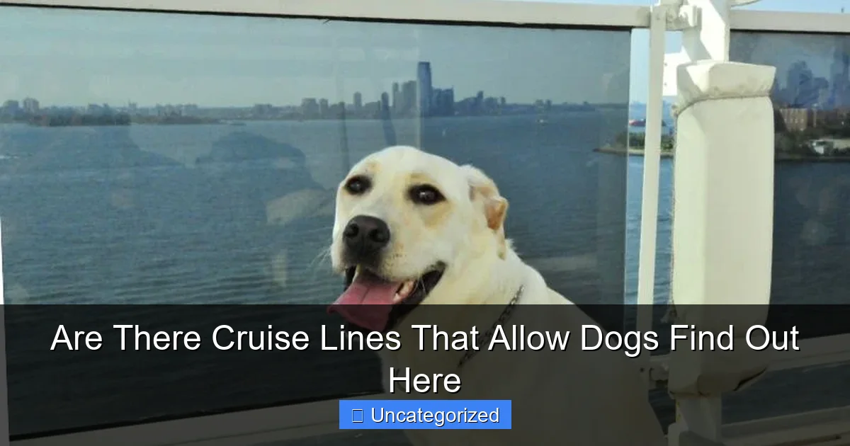 Are There Cruise Lines That Allow Dogs Find Out Here