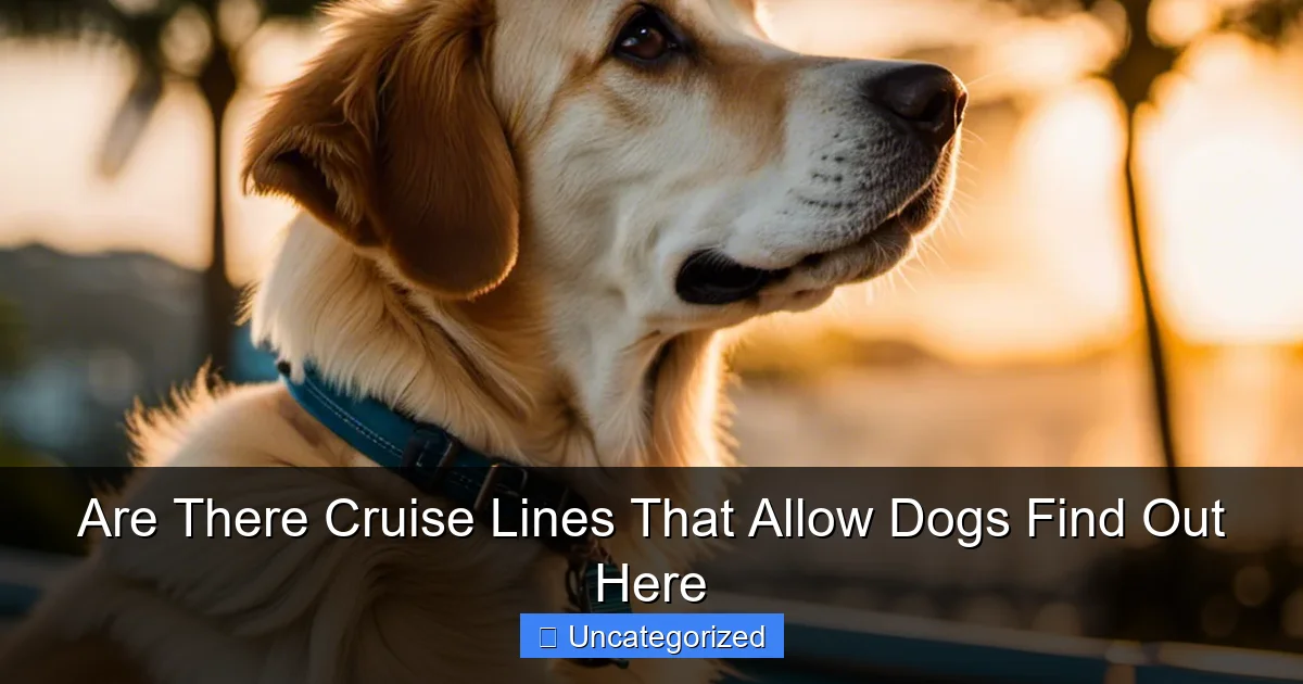 Are There Cruise Lines That Allow Dogs Find Out Here