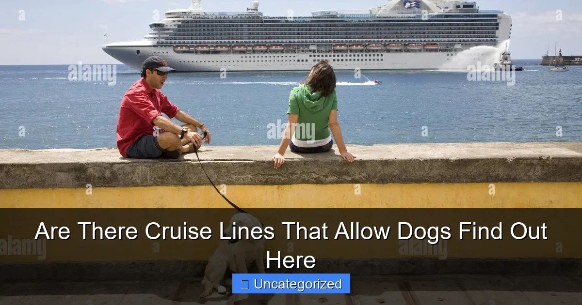 Are There Cruise Lines That Allow Dogs Find Out Here