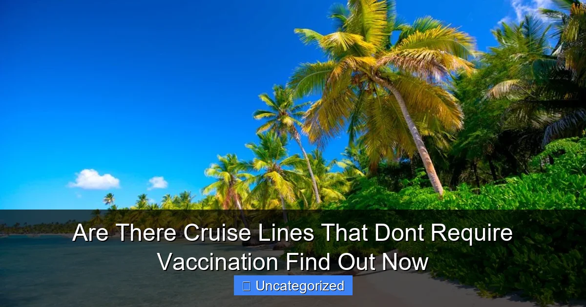 Are There Cruise Lines That Dont Require Vaccination Find Out Now