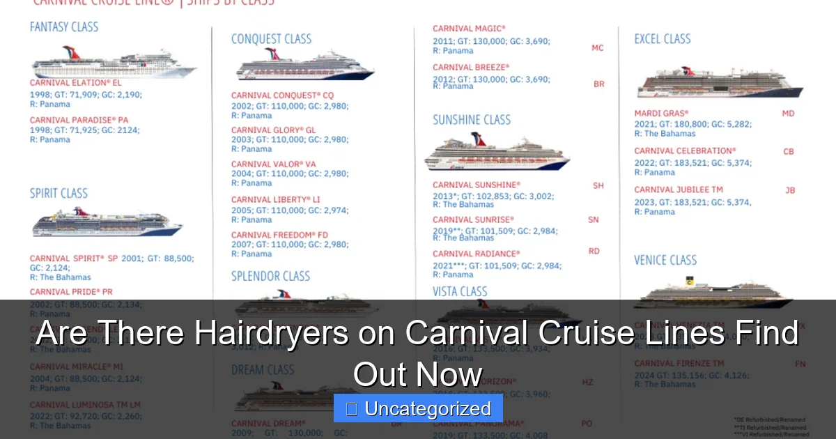 Are There Hairdryers on Carnival Cruise Lines Find Out Now