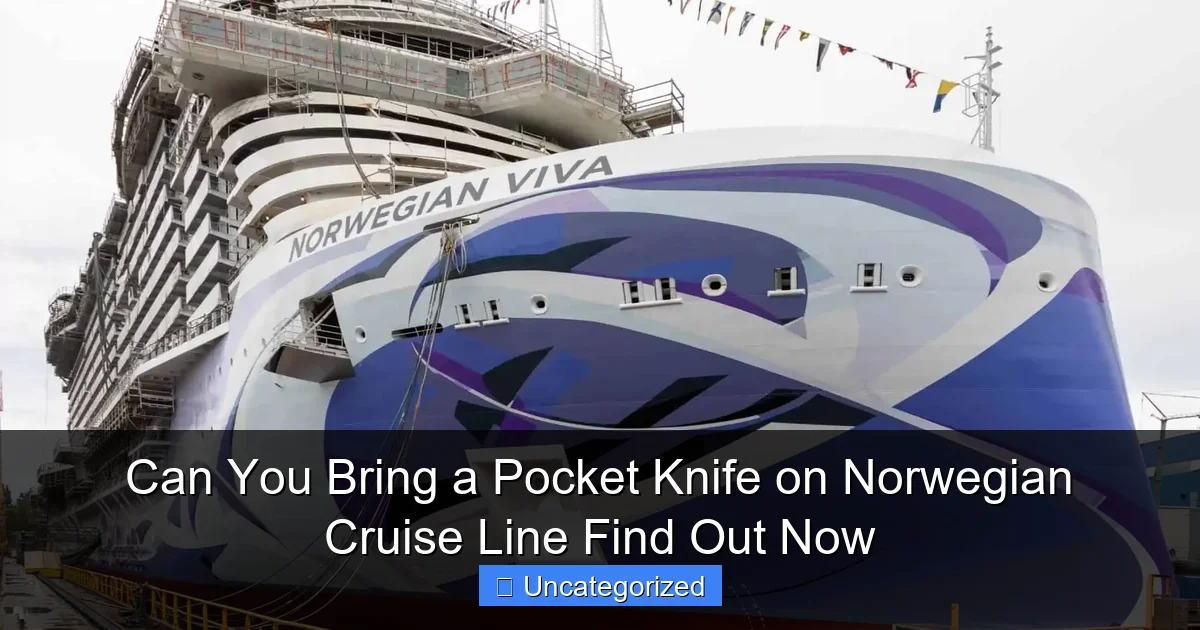 Can You Bring a Pocket Knife on Norwegian Cruise Line Find Out Now