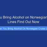 Can You Bring Alcohol on Norwegian Cruise Lines Find Out Now
