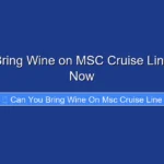 Can You Bring Wine on MSC Cruise Line Find Out Now