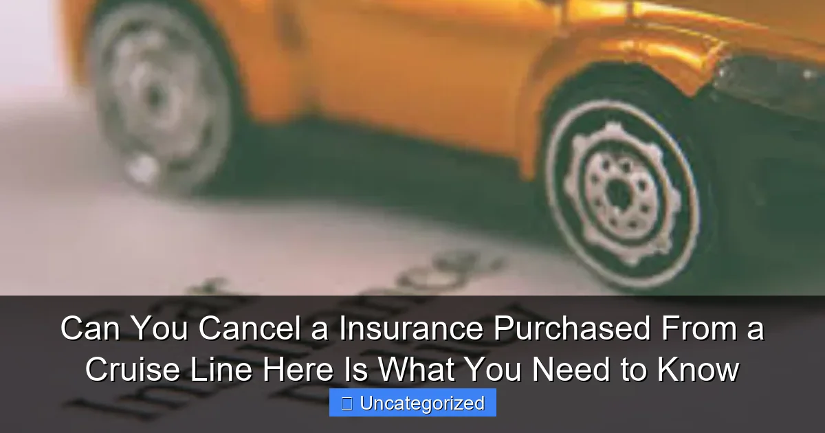 Can You Cancel a Insurance Purchased From a Cruise Line Here Is What You Need to Know