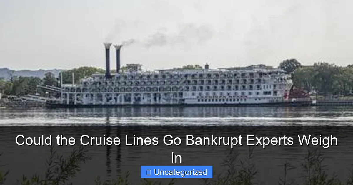 Could the Cruise Lines Go Bankrupt Experts Weigh In