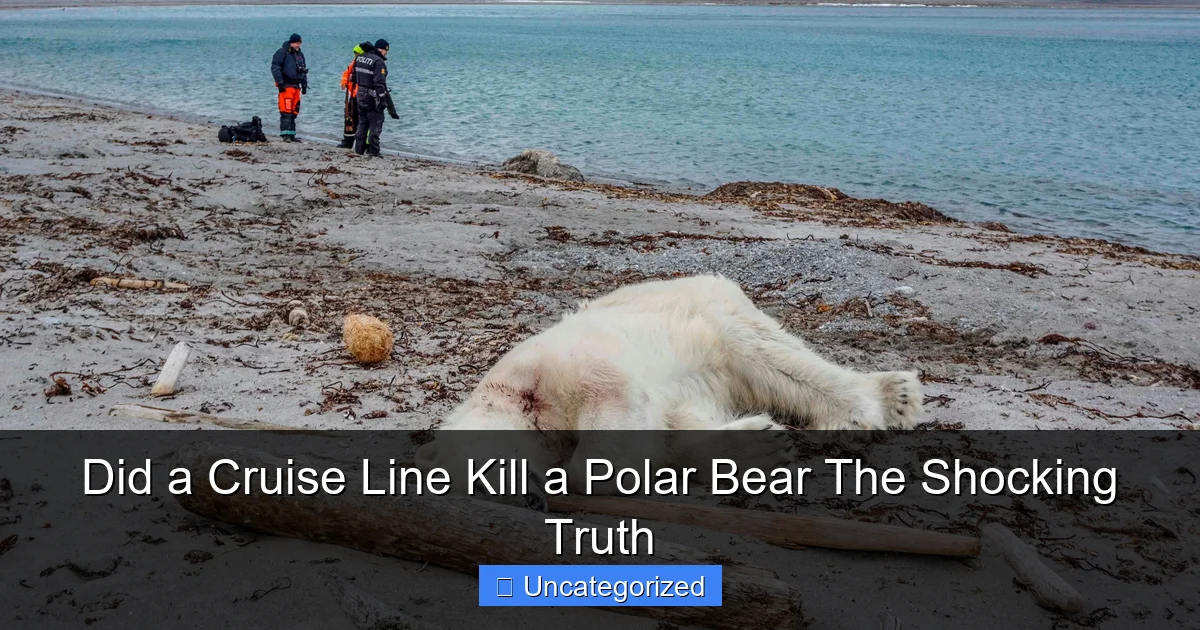 Did a Cruise Line Kill a Polar Bear The Shocking Truth