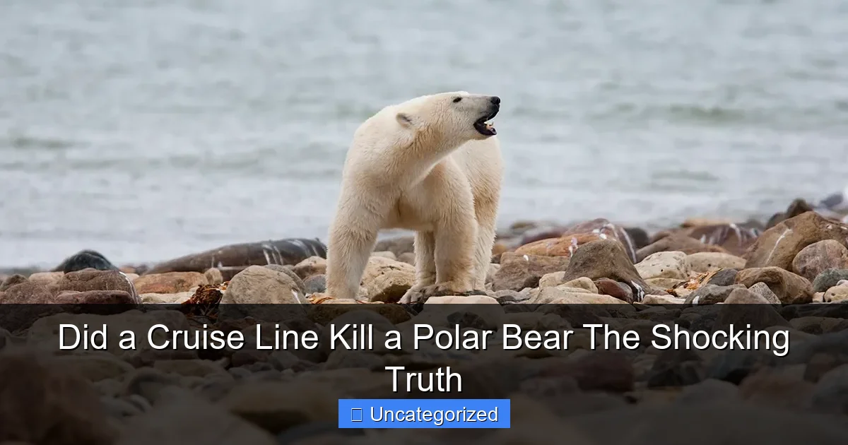 Did a Cruise Line Kill a Polar Bear The Shocking Truth