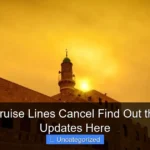 Did All Cruise Lines Cancel Find Out the Latest Updates Here