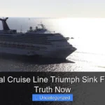 Did Carnival Cruise Line Triumph Sink Find Out the Truth Now