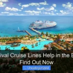 Did Carnival Cruise Lines Help in the Bahamas Find Out Now