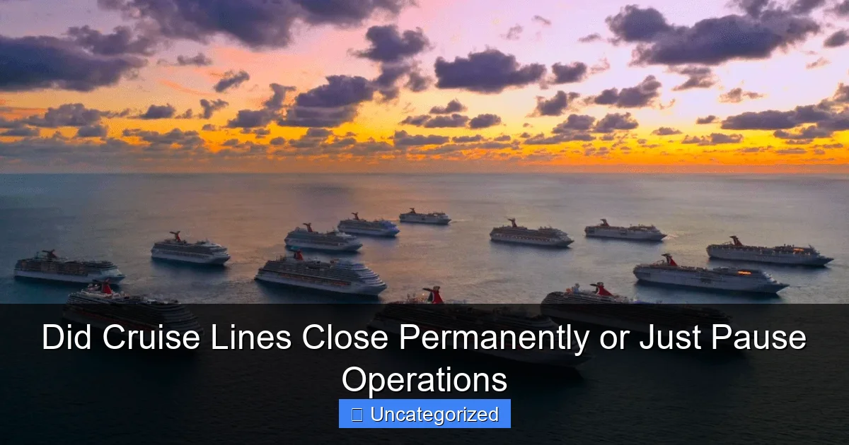Did Cruise Lines Close Permanently or Just Pause Operations