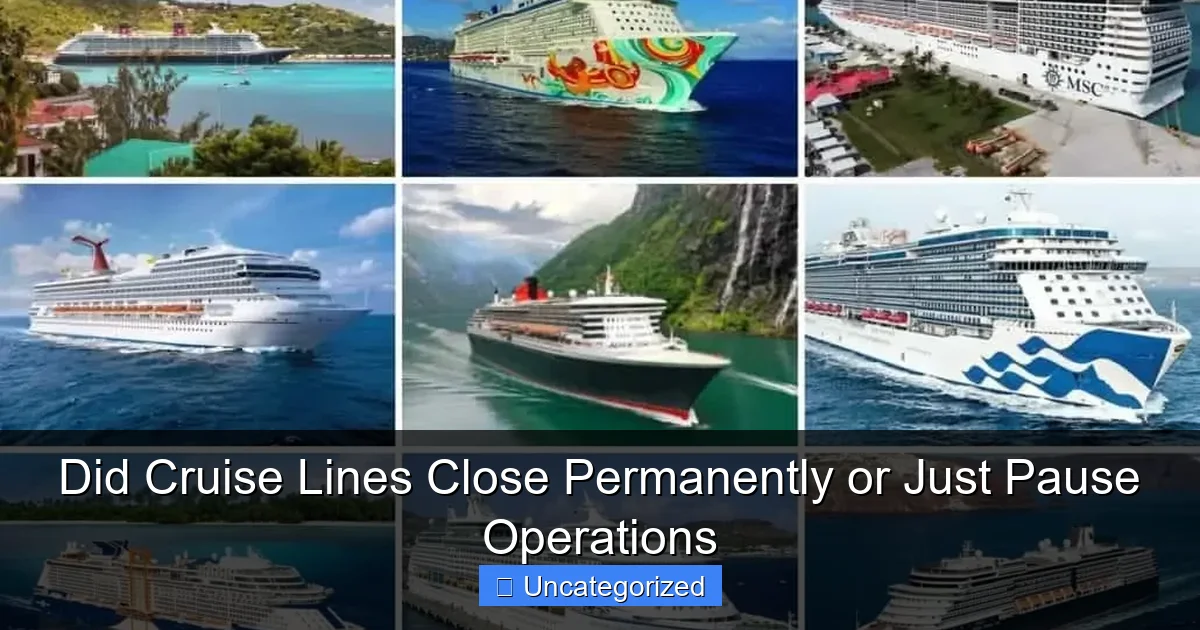 Did Cruise Lines Close Permanently or Just Pause Operations
