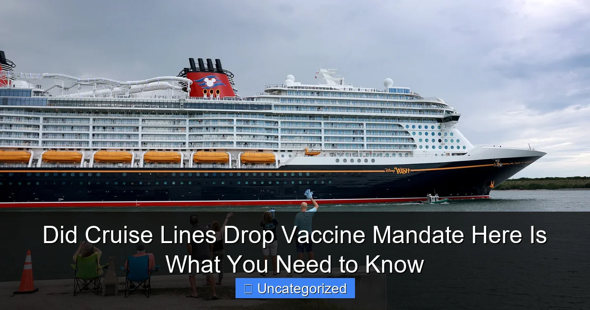 Did Cruise Lines Drop Vaccine Mandate Here Is What You Need to Know