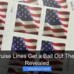 Did Cruise Lines Get a Bail Out The Truth Revealed