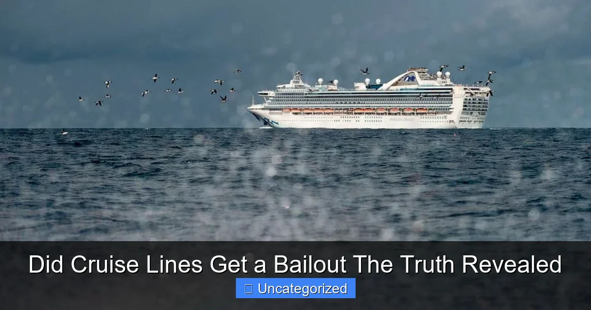Did Cruise Lines Get a Bailout The Truth Revealed