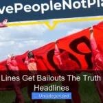 Did Cruise Lines Get Bailouts The Truth Behind the Headlines