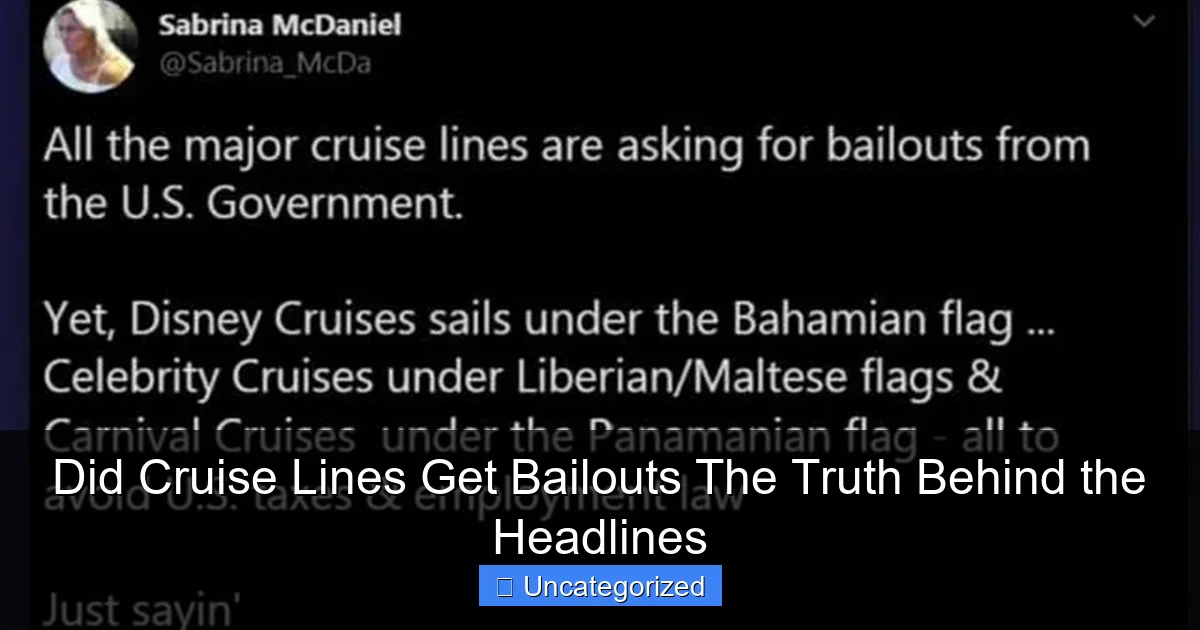 Did Cruise Lines Get Bailouts The Truth Behind the Headlines