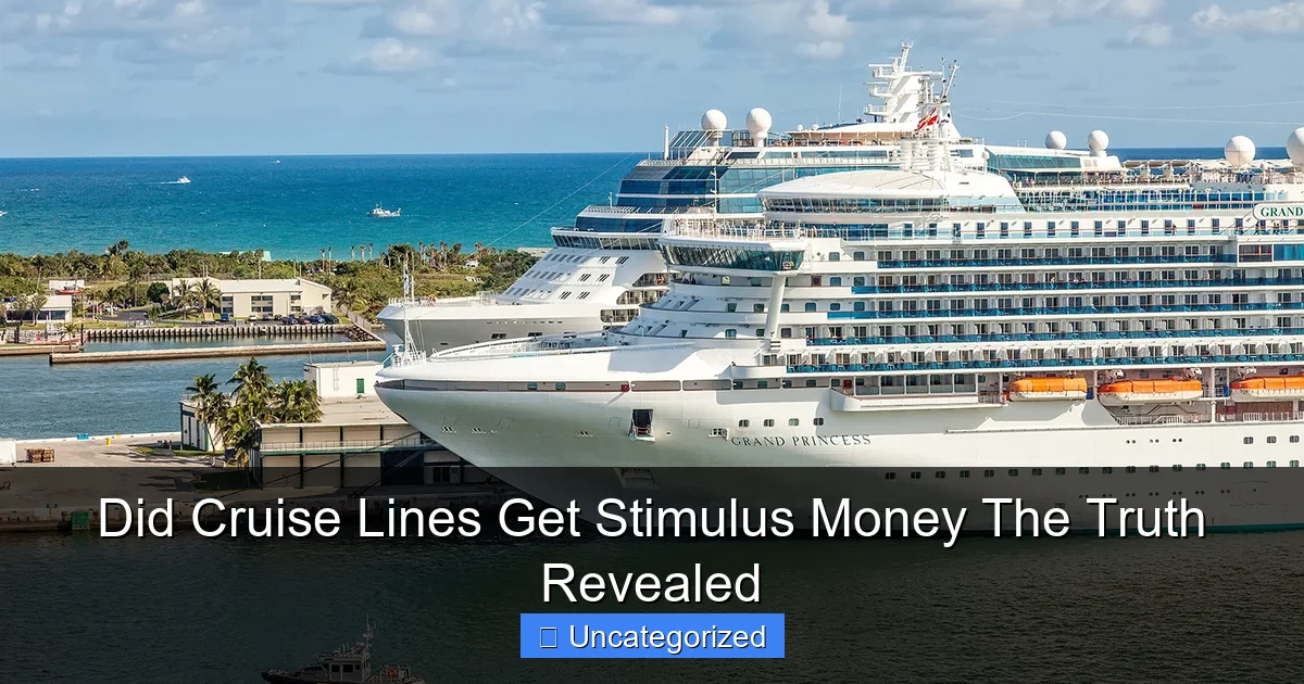 Did Cruise Lines Get Stimulus Money The Truth Revealed