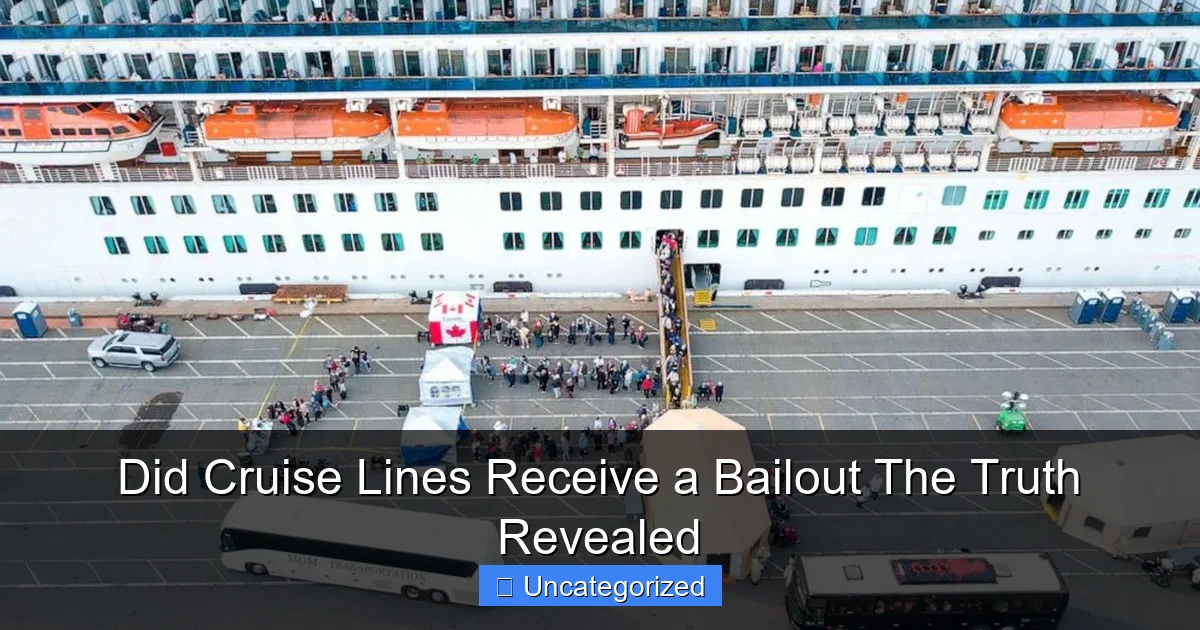 Did Cruise Lines Receive a Bailout The Truth Revealed