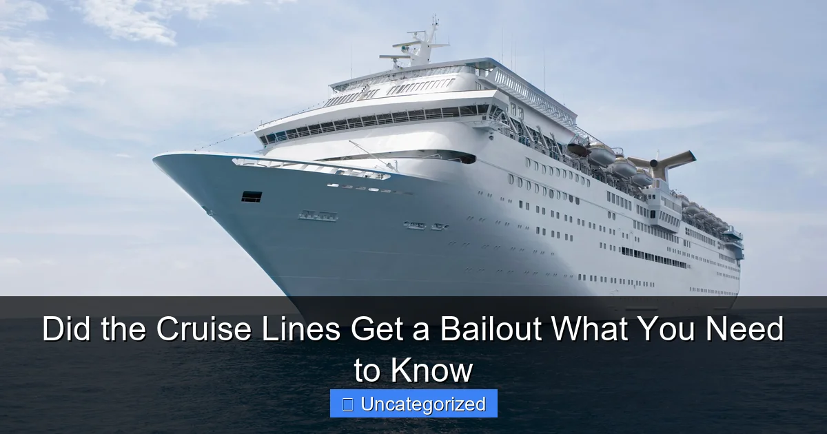 Did the Cruise Lines Get a Bailout What You Need to Know