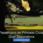 Do 2019 Passengers on Princess Cruise Line Do Door Decorations