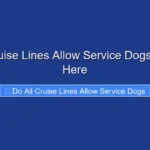 Do All Cruise Lines Allow Service Dogs Find Out Here