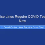 Do All Cruise Lines Require COVID Test Find Out Now