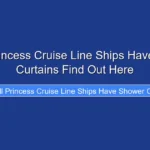 Do All Princess Cruise Line Ships Have Shower Curtains Find Out Here