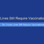 Do Cruise Lines Still Require Vaccinations in 2024