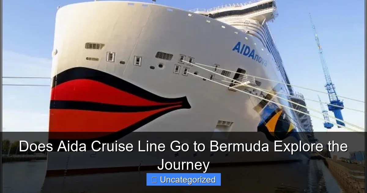 Does Aida Cruise Line Go to Bermuda Explore the Journey