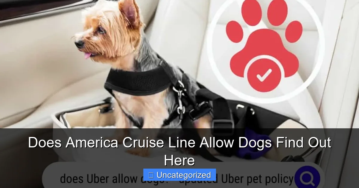 Does America Cruise Line Allow Dogs Find Out Here