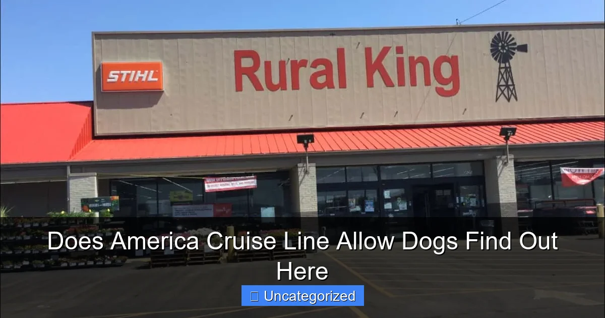 Does America Cruise Line Allow Dogs Find Out Here