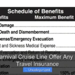Does Carnival Cruise Line Offer Any Reason Travel Insurance