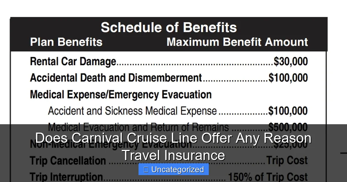 Does Carnival Cruise Line Offer Any Reason Travel Insurance