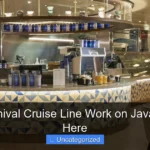 Does Carnival Cruise Line Work on Java Find Out Here