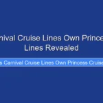 Does Carnival Cruise Lines Own Princess Cruise Lines Revealed