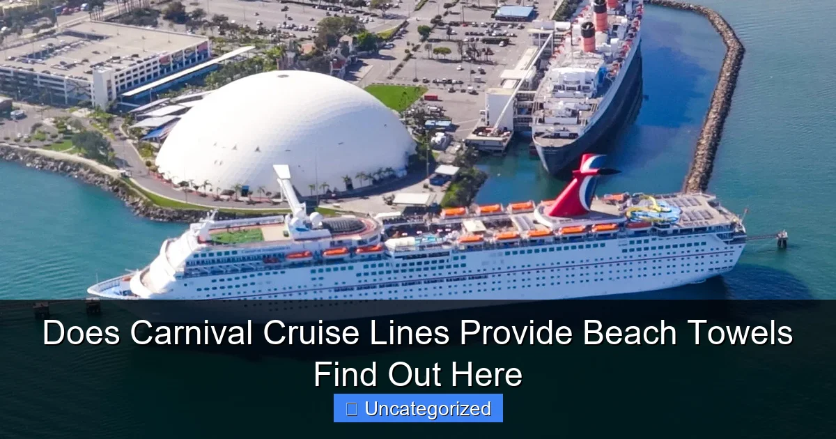 Does Carnival Cruise Lines Provide Beach Towels Find Out Here