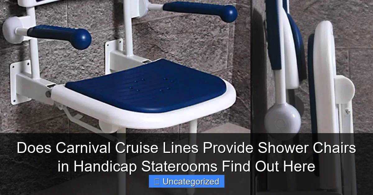 Does Carnival Cruise Lines Provide Shower Chairs in Handicap Staterooms Find Out Here