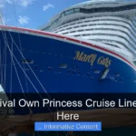 Does Carnival Own Princess Cruise Lines Find Out Here