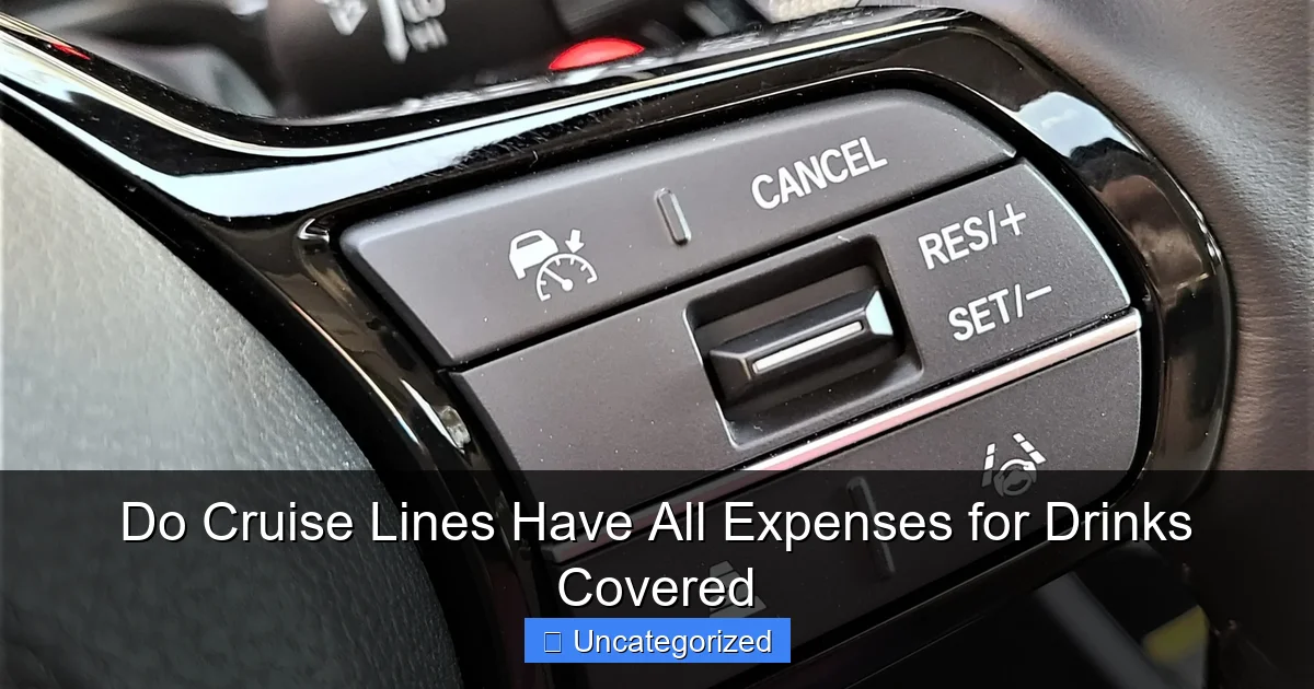 Do Cruise Lines Have All Expenses for Drinks Covered