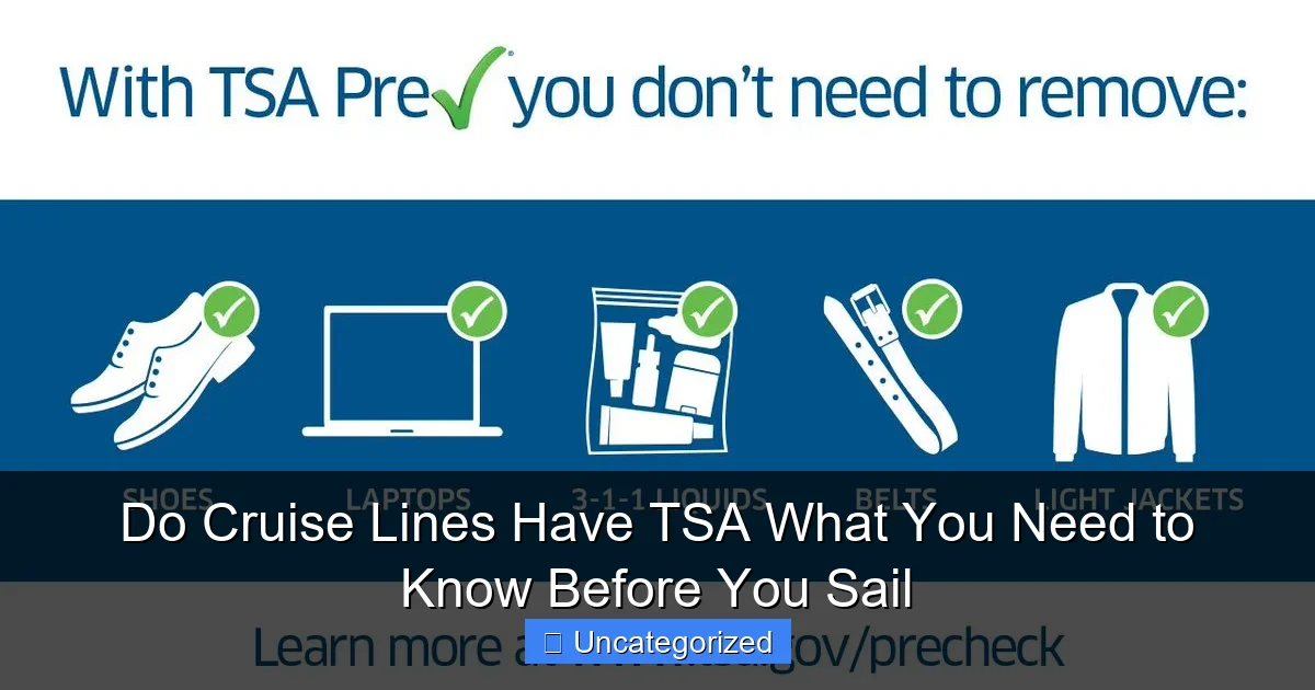 Do Cruise Lines Have TSA What You Need to Know Before You Sail