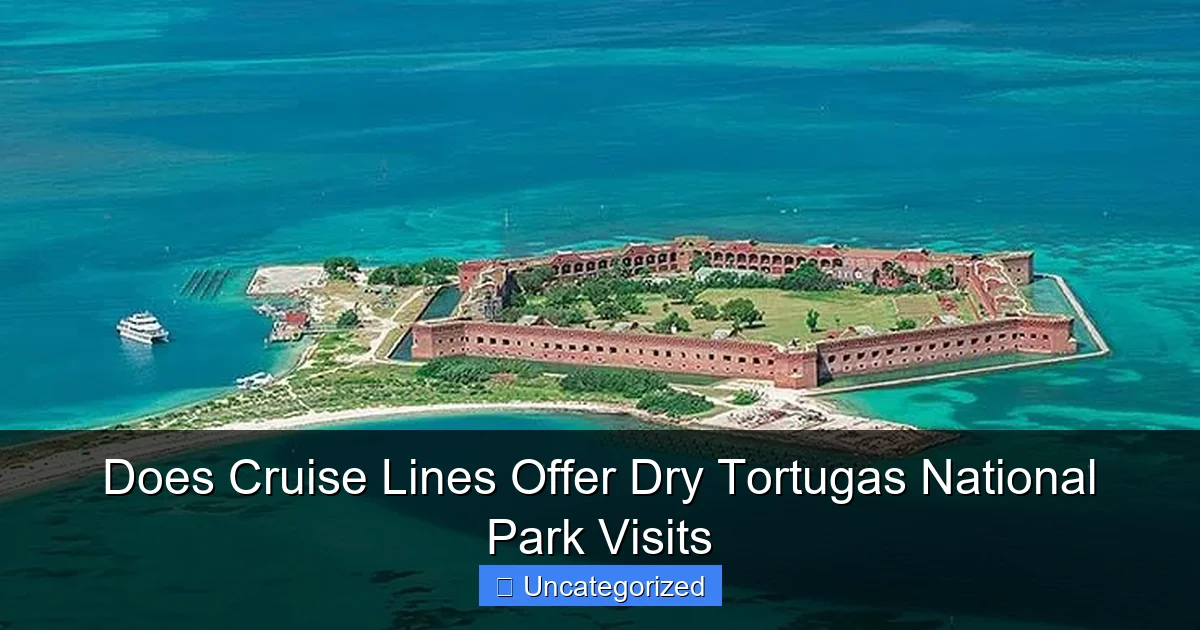 Does Cruise Lines Offer Dry Tortugas National Park Visits