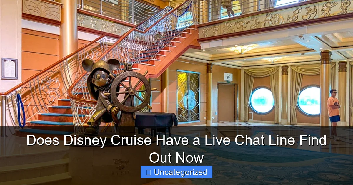 Does Disney Cruise Have a Live Chat Line Find Out Now