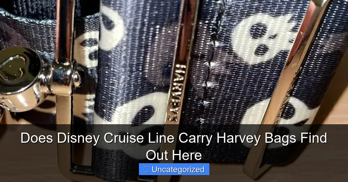 Does Disney Cruise Line Carry Harvey Bags Find Out Here