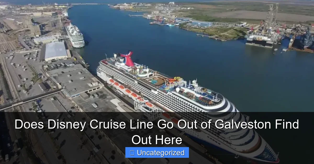 Does Disney Cruise Line Go Out of Galveston Find Out Here