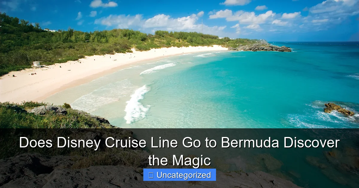 Does Disney Cruise Line Go to Bermuda Discover the Magic