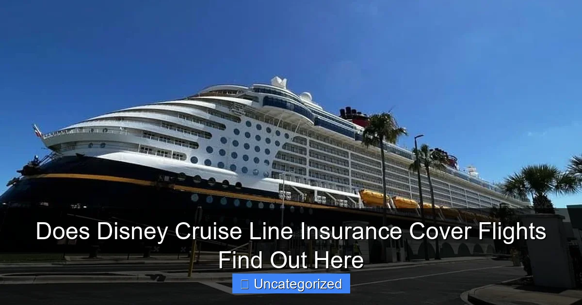 Does Disney Cruise Line Insurance Cover Flights Find Out Here