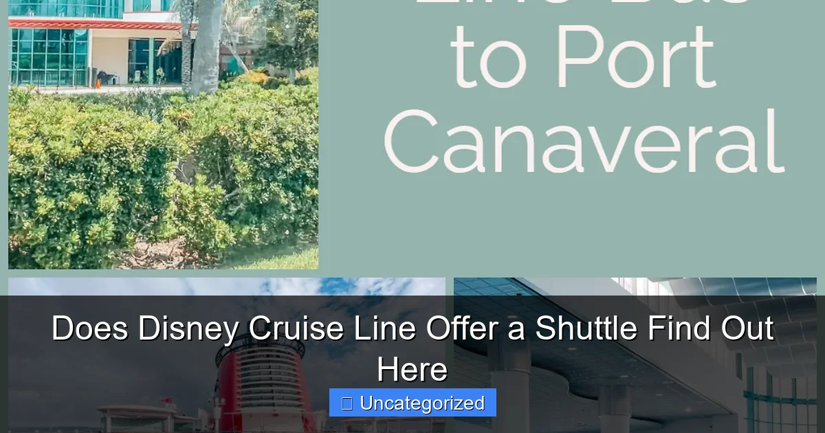 Does Disney Cruise Line Offer a Shuttle Find Out Here
